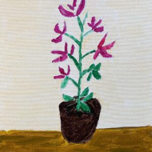 Jeannette - Potted Orchid